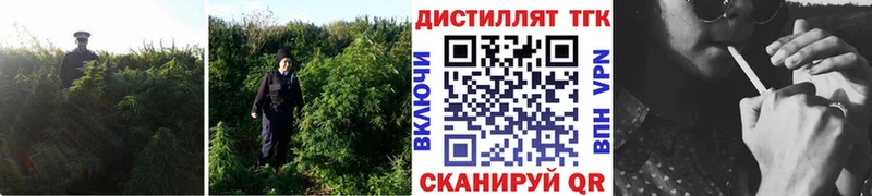 Дистиллят ТГК вейп  Купить  Люберцы 
