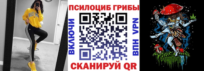 Купить где  Люберцы  Галлюциногенные грибы Magic Shrooms 